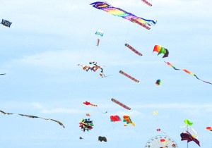 many kites